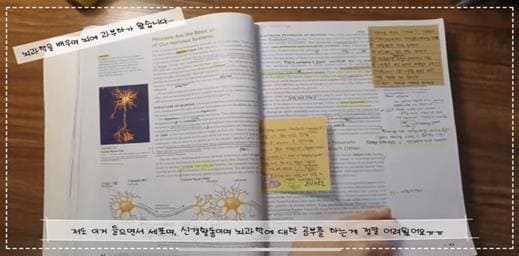 전공멘토링 영상.jpg